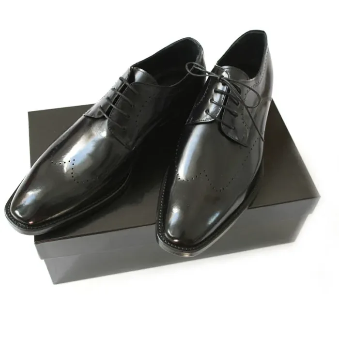 Professioneller Allrounder Herren Business Schuh schwarz auf schwarzem Schuhkarton_Modell 213