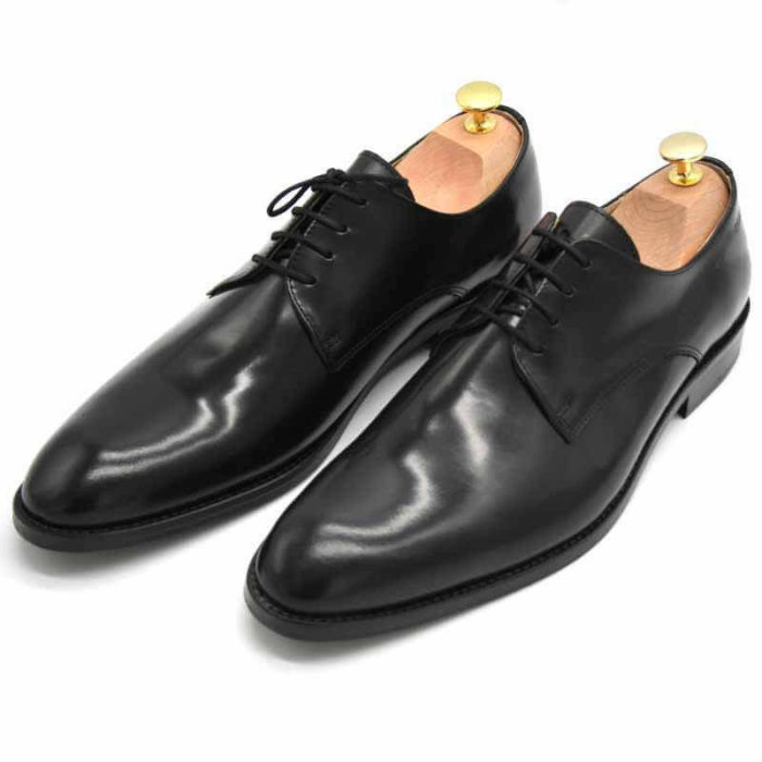 Foto von zwei schwarz polierten Herrenschuhen beide mit Schuhspannern mit goldenem Knauf, nach vorne links weisend - Modell Business Klasse 306